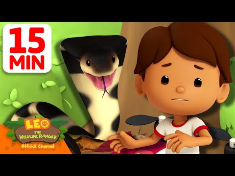 CAUTION, IT'S A FEROCIOUS KING COBRA! 🐍 | 15 Min | Leo the Wildlife Ranger | Kids Cartoons