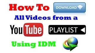 How To Download Playlist From Youtube Using Internet Download Manger IDM in urdu hindi