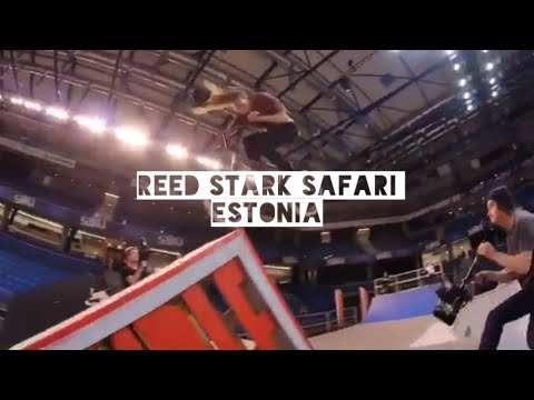 ESTONIA: SIMPLE SESSION 16 - reed stark safari