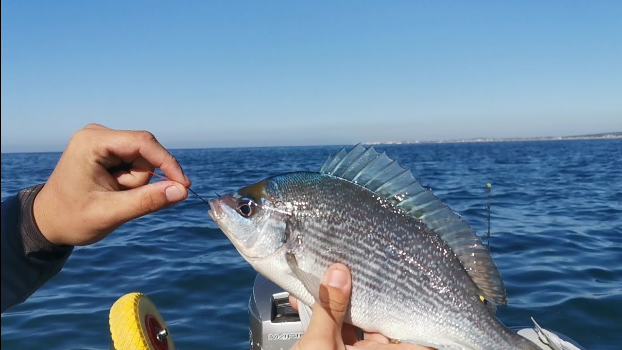 Unhooking a fishing hook from a fishes mouth