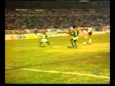 Guarani 0x1 Corinthians 1988 - Final Paulistao - Gol do Viola