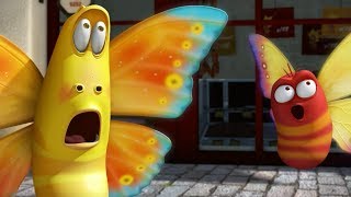 LARVA | THE BUTTERFLY | Cartoons For Children | LARVA Full Episodes