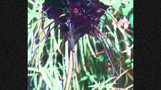 In The Ghetto-Fat Joe/Jim Jones/Shaq Diesel/Cassidy/Sheek Louch