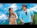 Go Go Goa Full Song Stalin Chiranjeevi Mani Sharma Hits Aditya Music