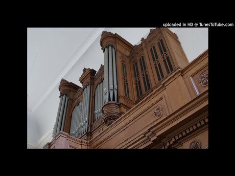Toccata passionato Ronald de Jong (improvisation)