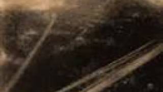 Modest Mouse - Beach Side Property