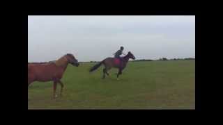 We're Meant To Fly {{Start of Summer}}