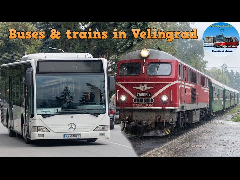 Trains & Buses in Velingrad 🇧🇬 | September 2022🚂🚌
