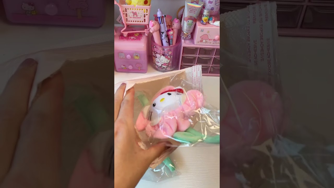 Sanrio Flowers💕✨🌸