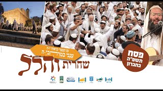 תפילת הלל בשירה שמחה וכוונת הלב מחברון | הרב שמואל אליהו | חול המועד פסח תשפ"ה (הרב שמואל אליהו) - התמונה מוצגת ישירות מתוך אתר האינטרנט יוטיוב. זכויות היוצרים בתמונה שייכות ליוצרה. קישור קרדיט למקור התוכן נמצא בתוך דף הסרטון
