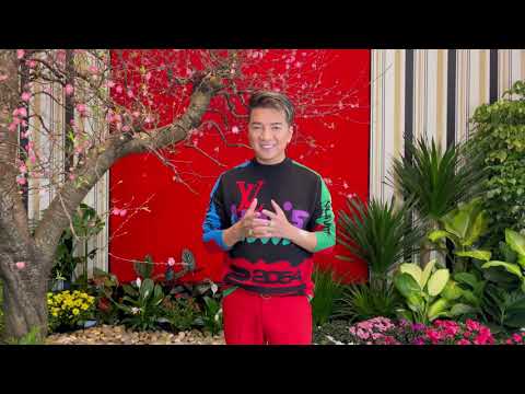 Mùa Chim Én Bay | Đàm Vĩnh Hưng chúc Tết 2022