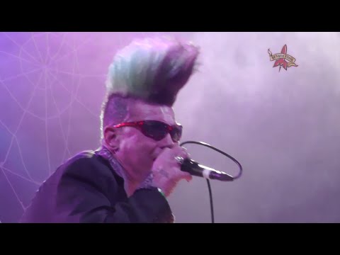 Demented Scumcats - Blues Stay Away From Me - Pineda 2013