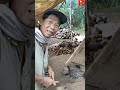 Pabrik Minyak Goreng BIMOLI Ambil Kelapanya Di Sini ️Kampung Sawangan Manado Sulawesi Utara ️