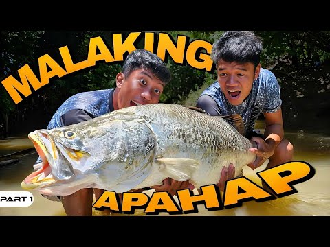 P1-MALAKING APAHAP - EP1104