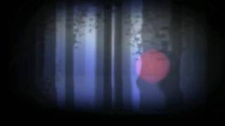 a moment of silence (2009) by Diana Reichenbach