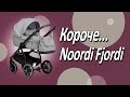миниатюра 0 Видео о товаре Коляска 3 в 1 Noordi Fjordi 2022, Chocolade / Шоколад (811)