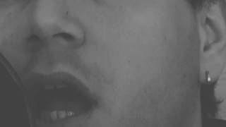 Let her go -Passenger - A cappella Blonde Brothers