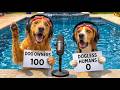 10 Reasons Why Dog Owners Live In A Completely Different World Here S Why