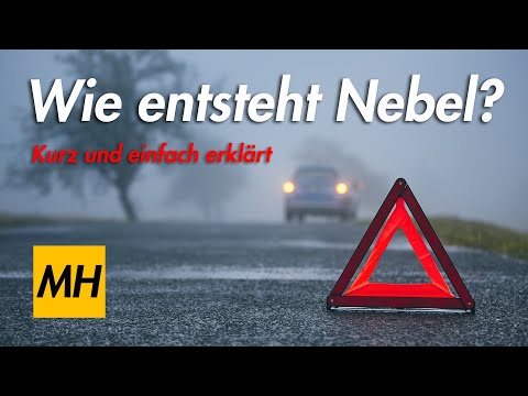 How fog forms, explained simply. Weather knowledge.