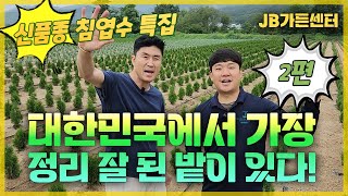 대한민국에서 가장 정리 잘 된 밭! 3천평 규모에서 신품종 테스트! 끊임없이 연구하고 공부합니다 [JB가든센…