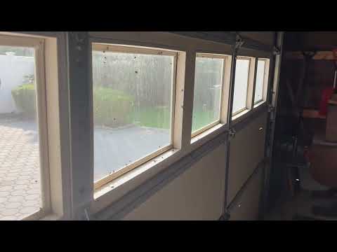Obscene Amount of Flies in the Garage in Waretown, NJ