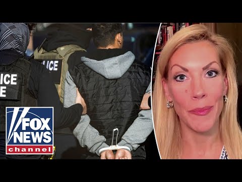 GOP lawmaker warns of sanctuary cities: 'RECKLESS DESTRUCTION'