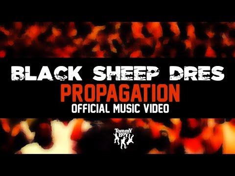 Black Sheep Dres - Propagation (Official Music Video)