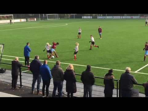 HBC - Overbos J13-1 op 12-11-2016