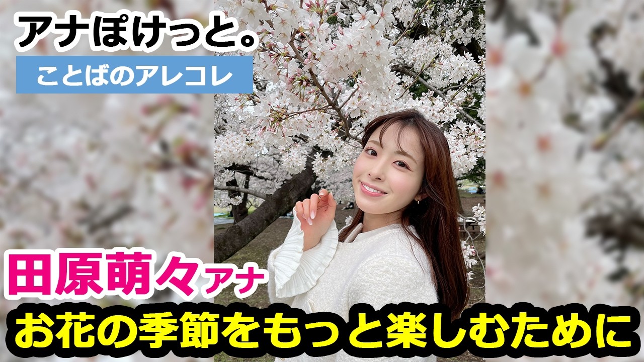 【アナぽけっと。】 「お花の季節をもっと楽しむために」田原萌々