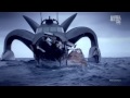 Whale Wars During 4 Campaings