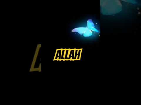 #mhb #islamicvideo #islamicmusic #bayan #🌷#islam 🌷#naat #naatstatus #naatsharif