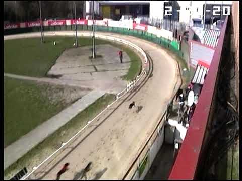 Saturday 20/02/2021 Race 7. LADBROKES GOLDEN JACKET 1048