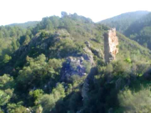 comment soigner un ebo