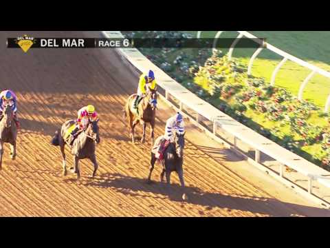 Vale Dori wins Bayakoa Handicap (Gr II)