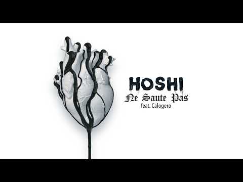 Hoshi - Ne saute pas feat. Calogero (Audio)