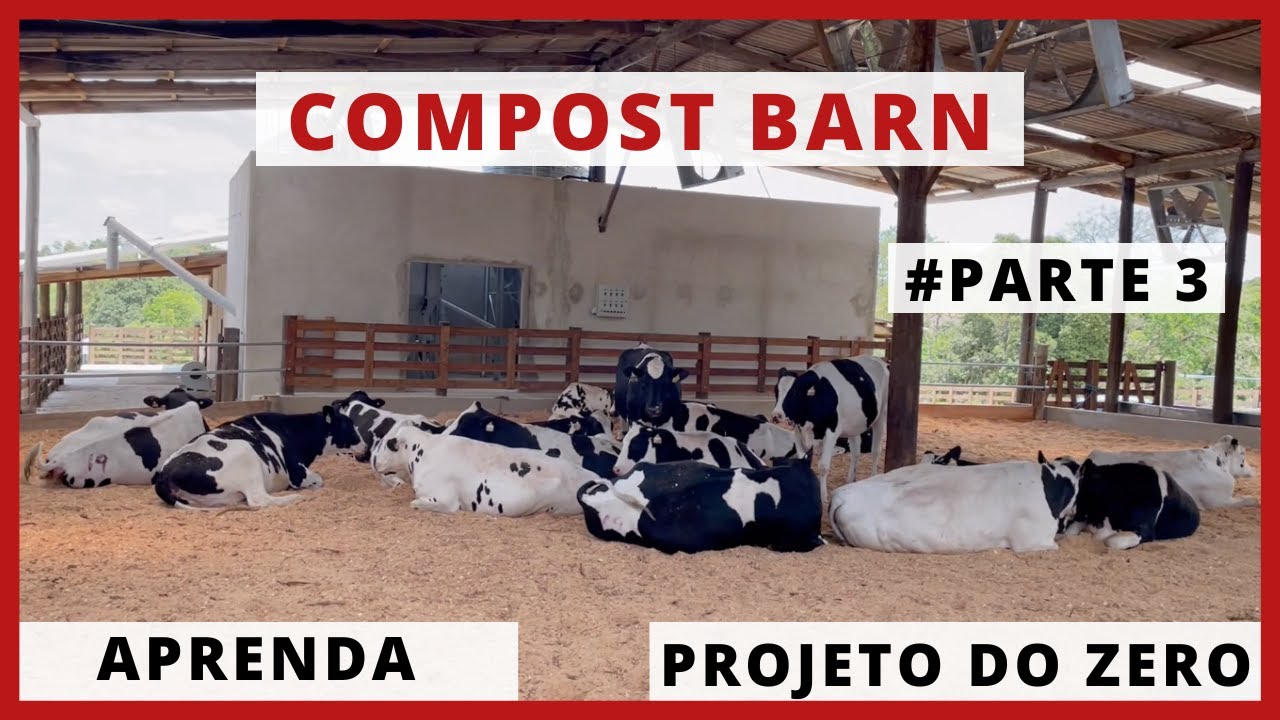 MONTANDO PROJETO de COMPOST BARN para VACA DE LEITE #PARTE3