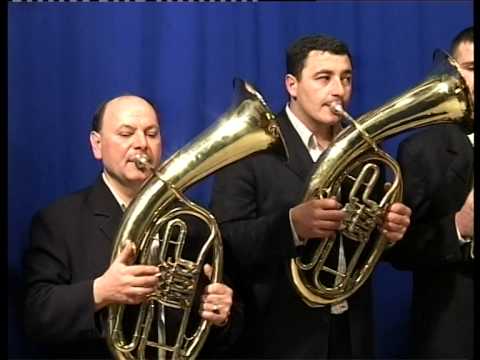 Orkestar Dragana Ignjica Ljubanov cocek