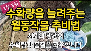 2월, 3월 월동작물 추비 이제부터 이렇게 하세요! 시기와 방법이 수확량과 품질을 좌우해요