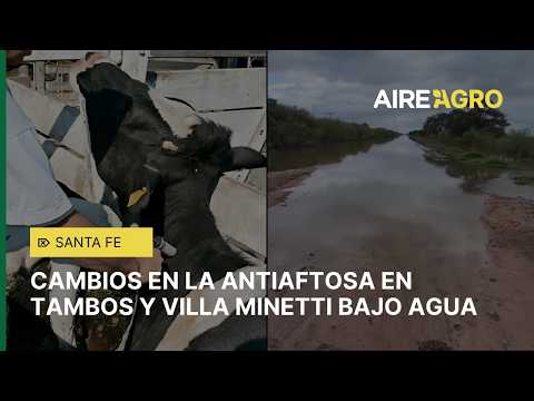 🐄 Reclaman cambios en la VACUNACIÓN ANTIAFTOSA en TAMBOS y Villa MInetti otra vez bajo el agua🌧️