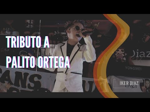 TRIBUTO A PALITO ORTEGA - ÍKER DÍAZ | COVER