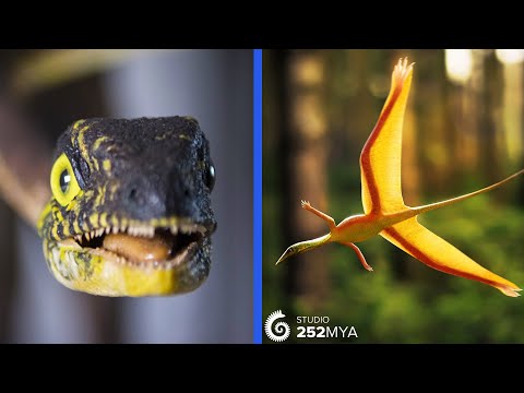 These Prehistoric Reptiles Flew With Their Back Legs