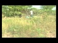 Hit And Run Ghanaian Ghallywood Movie