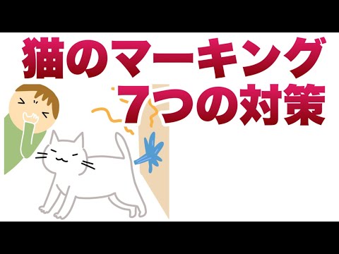 猫が自分のテリトリーをマーキングしないようにするためのヒント