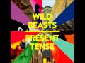 Wild Beasts - Past Perfect (Sub. Español) 