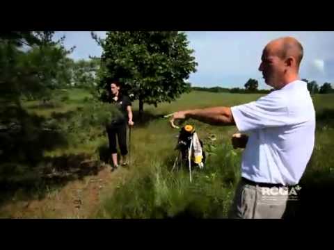 Rules of Golf - Rule #28 - Unplayable ball