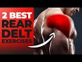 Top 2 Exercises for REAR DELTS