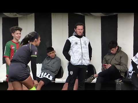 Mar del Plata vs Círculo Deportivo