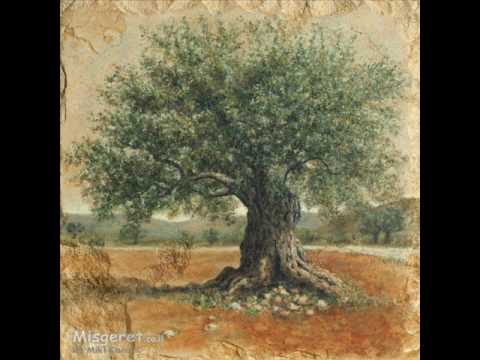 עלה קטן שלי