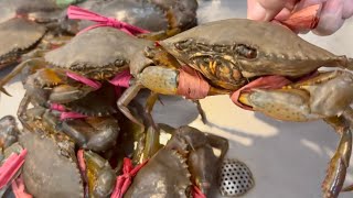 Fresh Seafoods! Cambodian street food, Seafood market in Phnom Penh