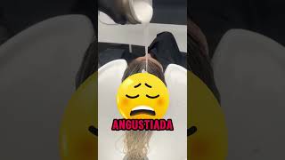 Corte de cabelo para cabelos ressecados ❤️ #cabelosdanificados  #salaodebeleza #shorthair #hair